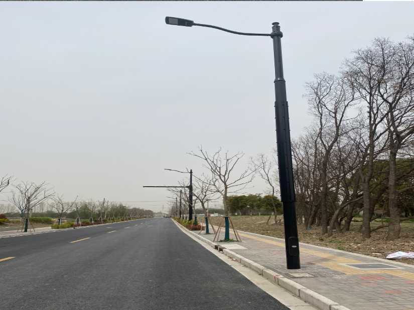 前郭尔罗斯蒙古族自治县上海综合杆 太阳能路灯工程